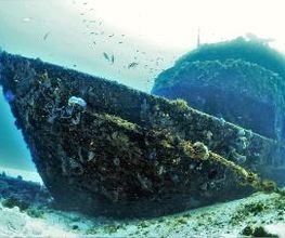 Jaguar Divers - Dive Shop in Playa del Carmen imagen 17