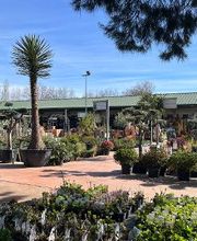 Villaverde Grimaud image 17