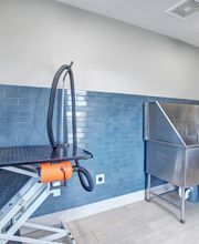 Argento at Riverwatch Apartments image 3