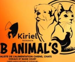 Gab Animal's Kiriel image 6