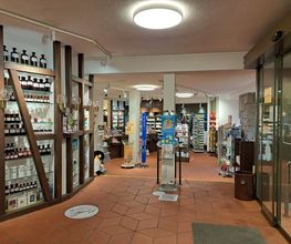 Manesse-Apotheke AG Bild 2