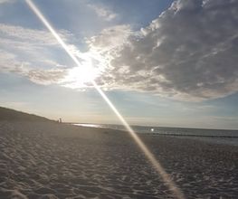 Ferienservice Prerow Bild 8