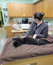 Independence Animal Hospital image 2