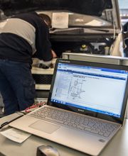 Gallery Professionale