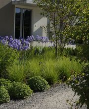 Wild Gartenbau AG Bild 6