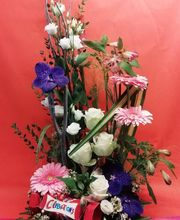 Rosavel la rose des vents image 20