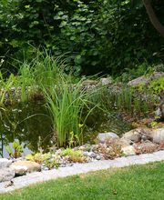 Gartengestaltung Andreas Jakob GmbH Bild 11