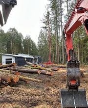 Saylor Landscaping image 7