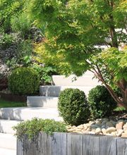 Bellion-Jourdan Art.Design Et Nature image 4