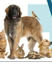 Clinique Vétérinaire de la Montagne - Luna Park image 13