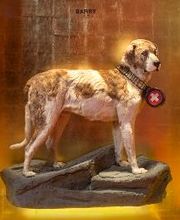 Naturhistorisches Museum Bern Bild 4