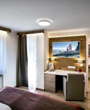 BUTTERFLY COLLECTION Bild 3