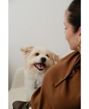 FK Immobilien Bild 5