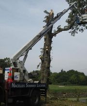 Castor et Polux image 1