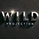 WILD projection