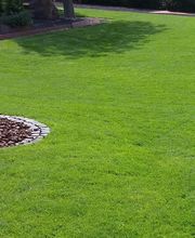 Dominic Schippers Garten und Dienstleistungen Bild 1