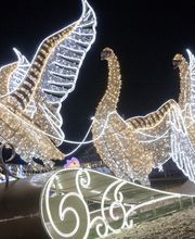 Magisch. Einzigartig. Und noch nie da gewesen. Die THÜRINGER GLITZERWELT ist das Event-Highlight dieses Winters. Auf einen Blick: