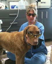 Clayton Animal Hospital image 1