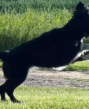 Tannenrestaurant & Kegelbahn Demmin, Inh. Marco Koopmann Bild 2