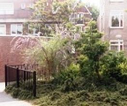 M Wiarda Groentechnisch Adviesburo