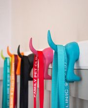 Family Pet Clinic Southampton image 12