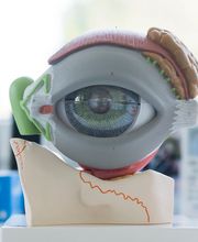 Augenarztpraxis Dr. Westhoff Bild 8