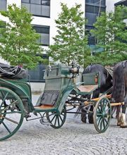 hochzeits-kutscher-online.de Bild 6