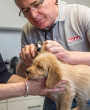 Tierarzt Waghäusel, Tierarztpraxis Waghäusel-Kirrlach Bild 8