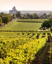 F.T.D. SASU image 16