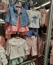 Orchestra VIRE image 5