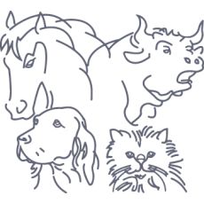 Kleintierpraxis Drei Höfe