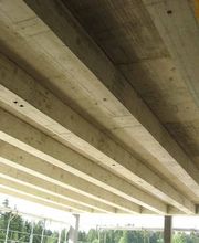 Cerini Guido & Cie Bild 7