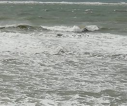 Beau Rivage image 8