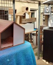 L'arche de Corinne image 16