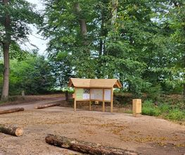 FriedWald Gronenburg Bild 2