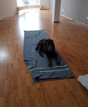 Arlt Umzüge Bild 10