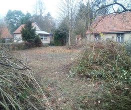 Grundstück von Wildwuchs befreit