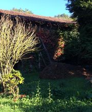 Thuilier Patrick image 4