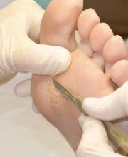 PodoAkitve Berlin Bild 8