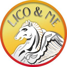 Lico Y Me, S.L.