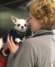 Onion River Animal Hospital image 20