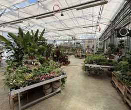 OBI Gartencenter Carouge Bild 1