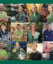 Fond d'écran Gamme Vert.jpg