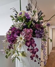 Zahnarztpraxis Embrach-Rorbas AG Bild 12