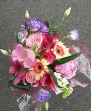 Audrey Fleurs image 15