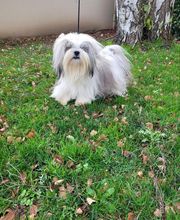 Nicolas Alexandra image 1