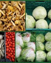 Roos Früchte, Gemüse und Tiefkühlprodukte Bild 5