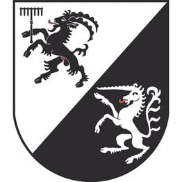 Cumün da Valsot