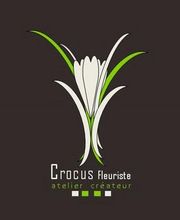 Crocus image 3