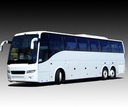 Busreisen